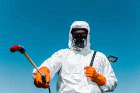 Best Emergency Pest Control  in Bellport, NY